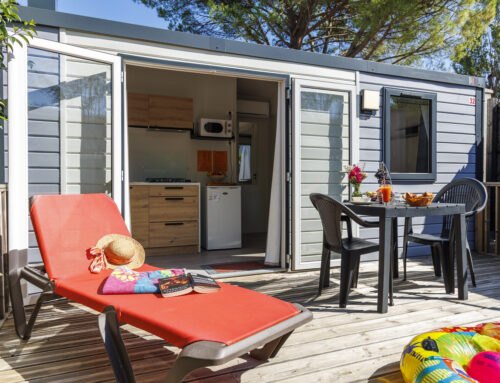 Création du blog du Camping Les Paillotes : suivez notre aventure !